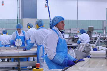 Food packing factory with workers in PPE on a production line