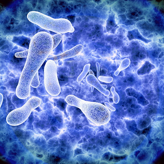 Computer generated image of legionella bacteria