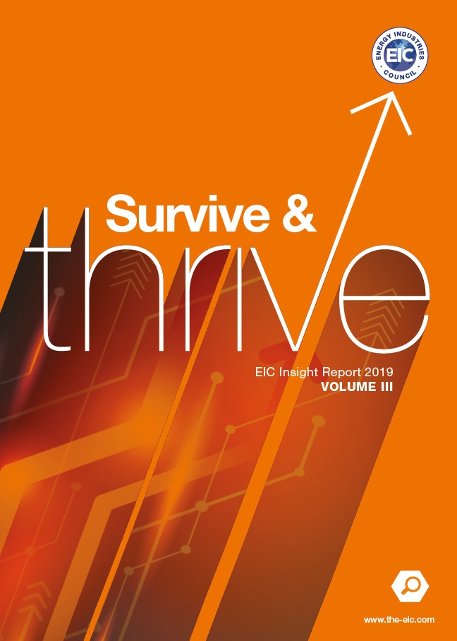 cover of survive and thrive report